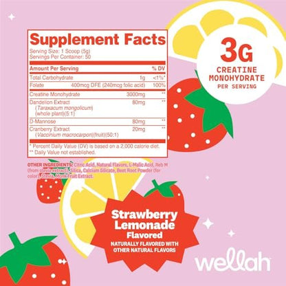 Wellah Creatin für Frauen – Creatin-Monohydrat mit Löwenzahn & Cranberry-Extrakt (50 Portionen, Erdbeer-Zitronen-Limonade)