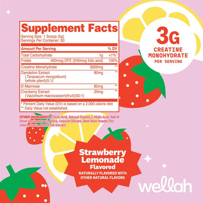 Wellah Creatin für Frauen – Creatin-Monohydrat mit Löwenzahn & Cranberry-Extrakt (50 Portionen, Erdbeer-Zitronen-Limonade)