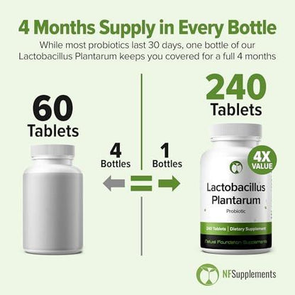 Lactobacillus Plantarum Probiotikum 240 Tabletten (4 Monate Vorrat) – Forschungsstamm LP90 – 3 Milliarden KBE – Verdauungsgesundheit & Darmkomfort – GMP-zertifiziert