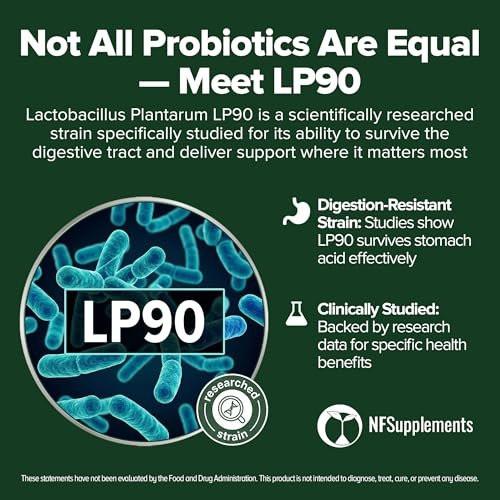 Lactobacillus Plantarum Probiotikum 240 Tabletten (4 Monate Vorrat) – Forschungsstamm LP90 – 3 Milliarden KBE – Verdauungsgesundheit & Darmkomfort – GMP-zertifiziert