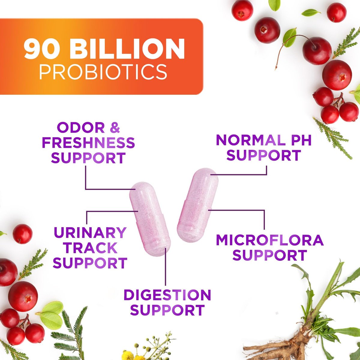 Probiotika für Frauen – Probiotischer Blend 90 Milliarden KBE pro Portion – Gezielte Unterstützung für Vaginal- und Verdauungsgesundheit – 16 Stämme, Cranberry, Präbiotika – Hergestellt in den USA – 120 Kapseln