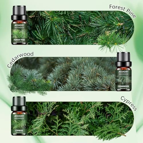 Woody Essential Oils Set – 6x10ML Holzige Duftöle für Kerzenherstellung, Diffuser – Teakholz, Sandelholz, Zedernholz, Zypresse, Waldkiefer, Weihrauch Aromatherapieöle