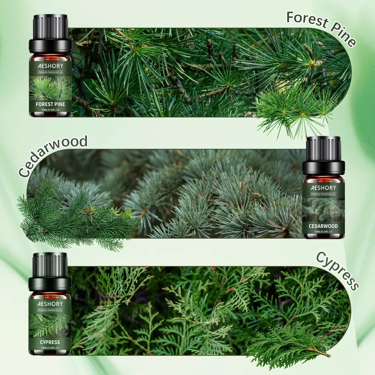 Woody Essential Oils Set – 6x10ML Holzige Duftöle für Kerzenherstellung, Diffuser – Teakholz, Sandelholz, Zedernholz, Zypresse, Waldkiefer, Weihrauch Aromatherapieöle