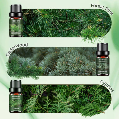 Woody Essential Oils Set – 6x10ML Holzige Duftöle für Kerzenherstellung, Diffuser – Teakholz, Sandelholz, Zedernholz, Zypresse, Waldkiefer, Weihrauch Aromatherapieöle