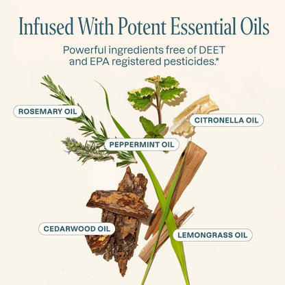 Cliganic Natürliche Mückenschutzkerze (9oz, 2er-Pack) | Citronella, DEET-frei, mit ätherischen Ölen für Outdoor & Camping | Brenndauer 40 Stunden