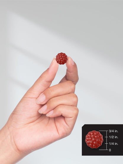 Horbaach Sambucus Schwarzer Holunder Gummibärchen | 60 Stück | mit Zink und Vitamin C | Vegan, Nicht-GVO, Glutenfrei | Holunderextrakt für Erwachsene | Beerengeschmack | von Berkshire Labs