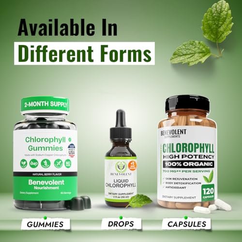 Benevolent Nourishment Chlorophyll Nahrungsergänzungsmittel – Detox & Immununterstützung, innerer Deodorant, Kapseln (120 Stück)
