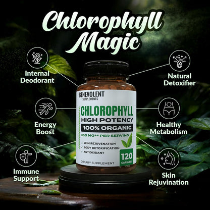 Benevolent Nourishment Chlorophyll Nahrungsergänzungsmittel – Detox & Immununterstützung, innerer Deodorant, Kapseln (120 Stück)