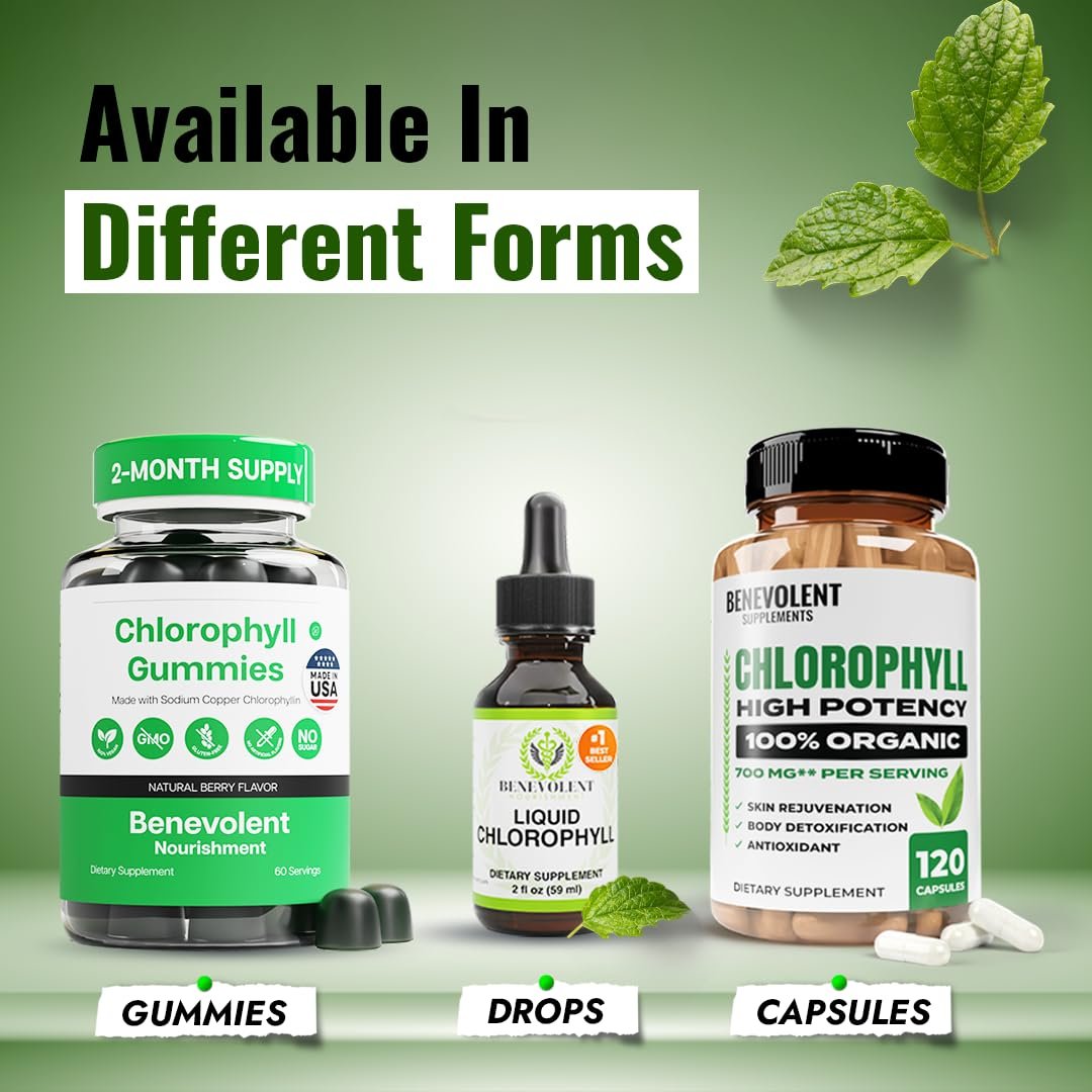 Benevolent Nourishment Chlorophyll Nahrungsergänzungsmittel – Detox & Immununterstützung, innerer Deodorant, Kapseln (120 Stück)