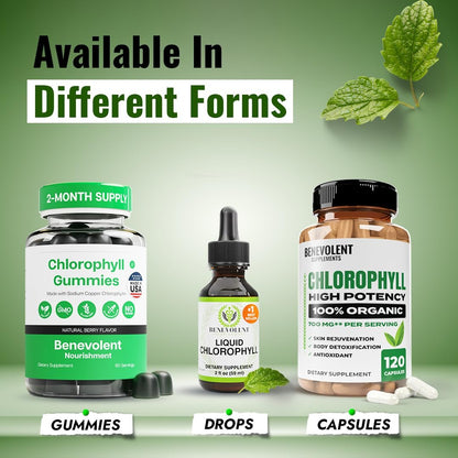 Benevolent Nourishment Chlorophyll Nahrungsergänzungsmittel – Detox & Immununterstützung, innerer Deodorant, Kapseln (120 Stück)