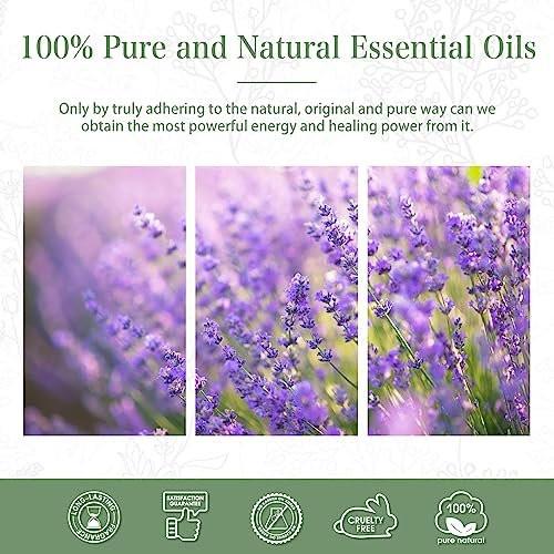 Lavendel 3,38 fl.oz Ätherisches Öl, PHATOIL Aromatherapie-Öl für Diffuser, Luftbefeuchter, Perfekt für DIY Seife, Kerzen, Badebomben (100ml)