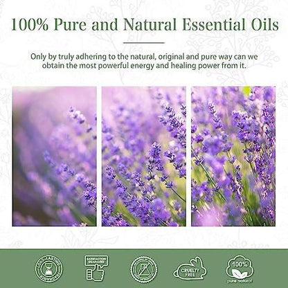 Lavendel 3,38 fl.oz Ätherisches Öl, PHATOIL Aromatherapie-Öl für Diffuser, Luftbefeuchter, Perfekt für DIY Seife, Kerzen, Badebomben (100ml)