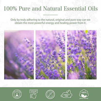 Lavendel 3,38 fl.oz Ätherisches Öl, PHATOIL Aromatherapie-Öl für Diffuser, Luftbefeuchter, Perfekt für DIY Seife, Kerzen, Badebomben (100ml)