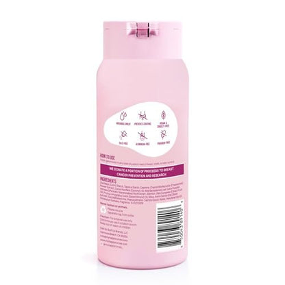 HAPPY CURVES Comfort Powder – Talkfreies Anti-Chafe Körper- & Fußpuder, Deodorant für innere Oberschenkel, Intimbereich & Ganzkörper, 113 g (1er-Pack), Duftfrei
