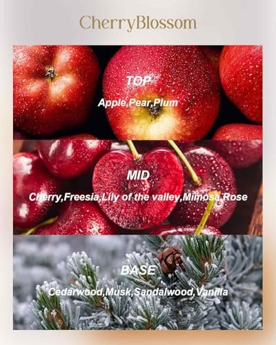 M&SENSE Kirschblüten Duftkerze 12 oz, Große 3-Docht Soja-Kerze im Zinngefäß, Über 40 Stunden Brenndauer, 100% Natürliches Veganes Wachs, Entspannende Aromatherapie Ästhetische Kerze Geschenk für Frauen und Männer