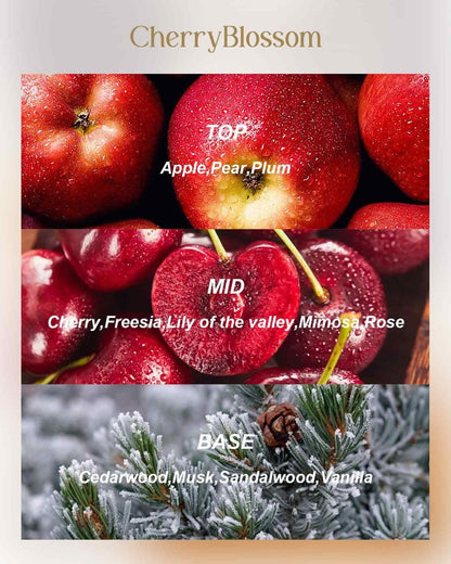 M&SENSE Kirschblüten Duftkerze 12 oz, Große 3-Docht Soja-Kerze im Zinngefäß, Über 40 Stunden Brenndauer, 100% Natürliches Veganes Wachs, Entspannende Aromatherapie Ästhetische Kerze Geschenk für Frauen und Männer