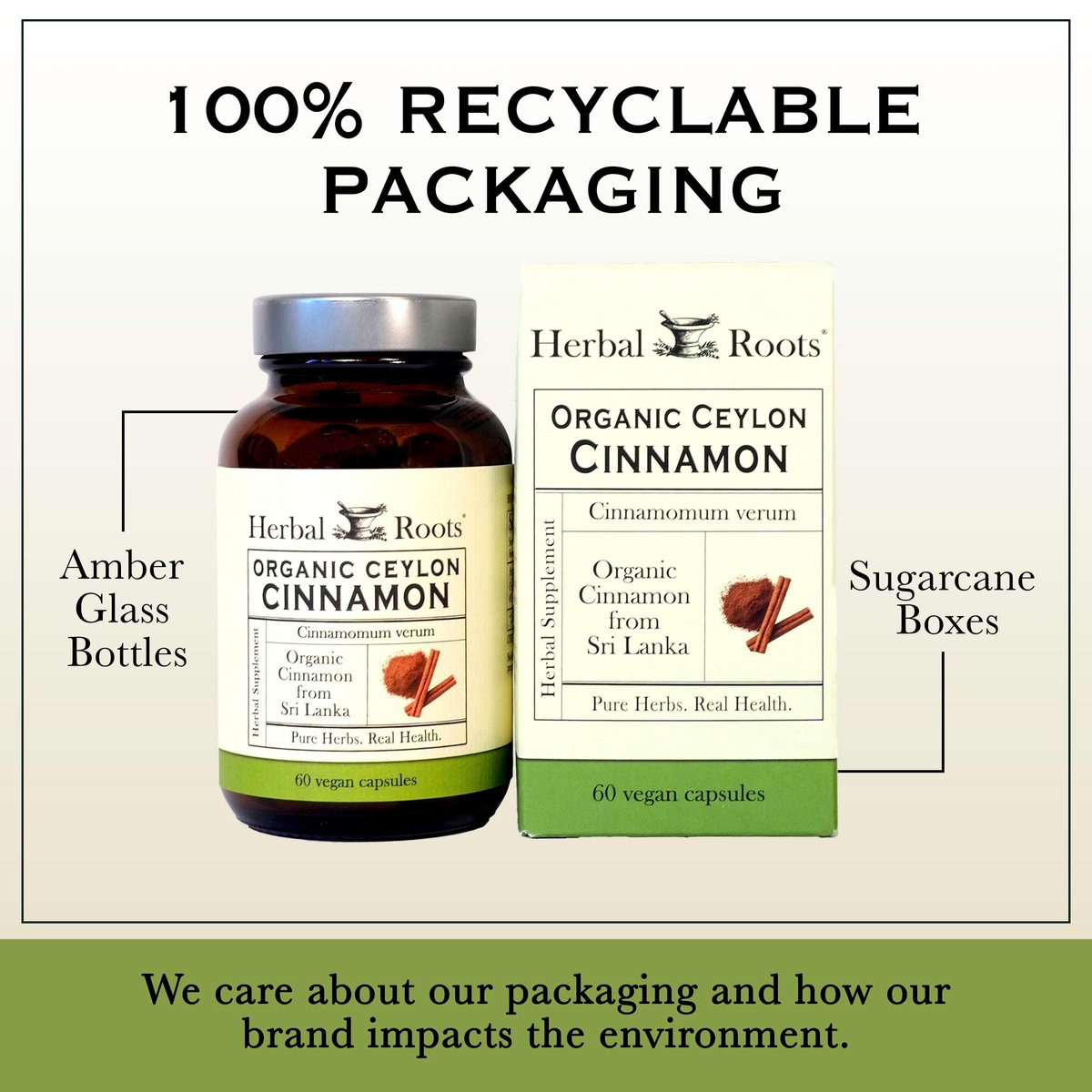 Herbal Roots Bio Ceylon Zimt Kapseln | USDA Bio-zertifiziert - Nicht-GMO | 60 vegane Kapseln