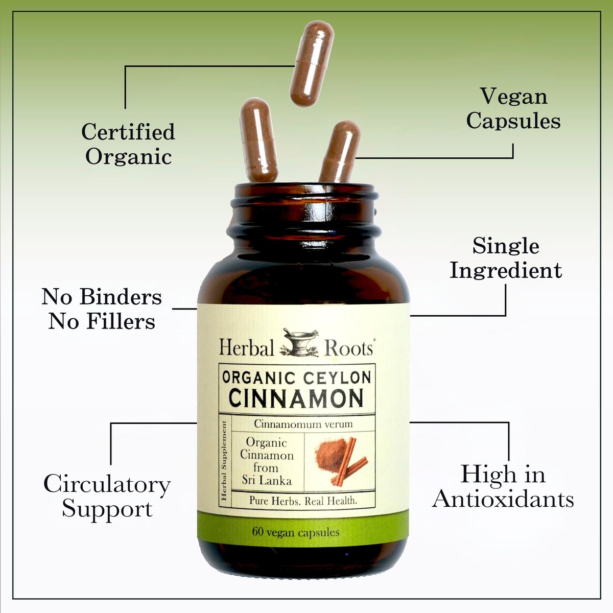 Herbal Roots Bio Ceylon Zimt Kapseln | USDA Bio-zertifiziert - Nicht-GMO | 60 vegane Kapseln