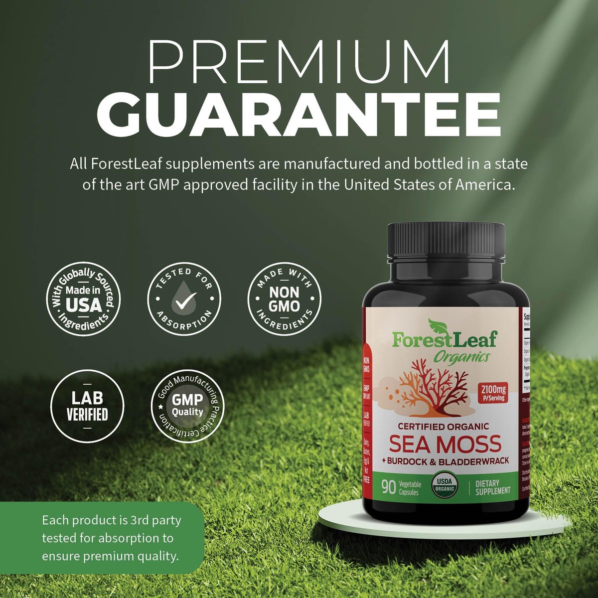 ForestLeaf Bio-Irische Seemoos Kapseln | 2100mg Roh-Seamoos Pillen mit Burdock, Bladderwrack für Verdauungs-, Atemwegs- und Immununterstützung | 90 vegane Kapseln