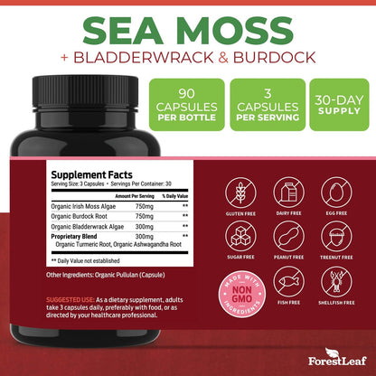 ForestLeaf Bio-Irische Seemoos Kapseln | 2100mg Roh-Seamoos Pillen mit Burdock, Bladderwrack für Verdauungs-, Atemwegs- und Immununterstützung | 90 vegane Kapseln