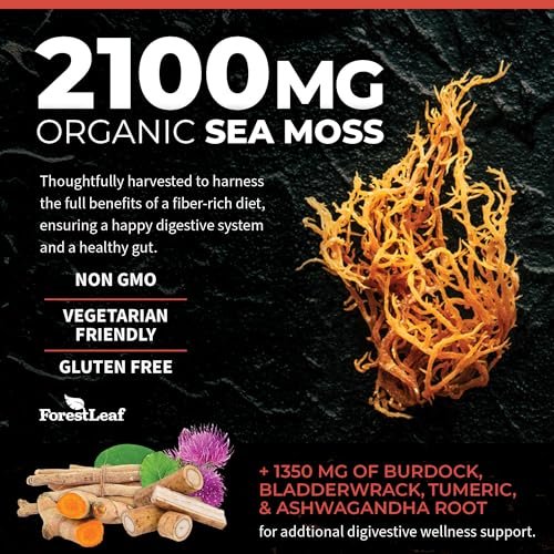 ForestLeaf Bio-Irische Seemoos Kapseln | 2100mg Roh-Seamoos Pillen mit Burdock, Bladderwrack für Verdauungs-, Atemwegs- und Immununterstützung | 90 vegane Kapseln