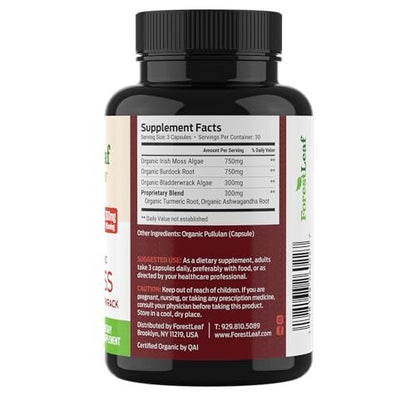 ForestLeaf Bio-Irische Seemoos Kapseln | 2100mg Roh-Seamoos Pillen mit Burdock, Bladderwrack für Verdauungs-, Atemwegs- und Immununterstützung | 90 vegane Kapseln