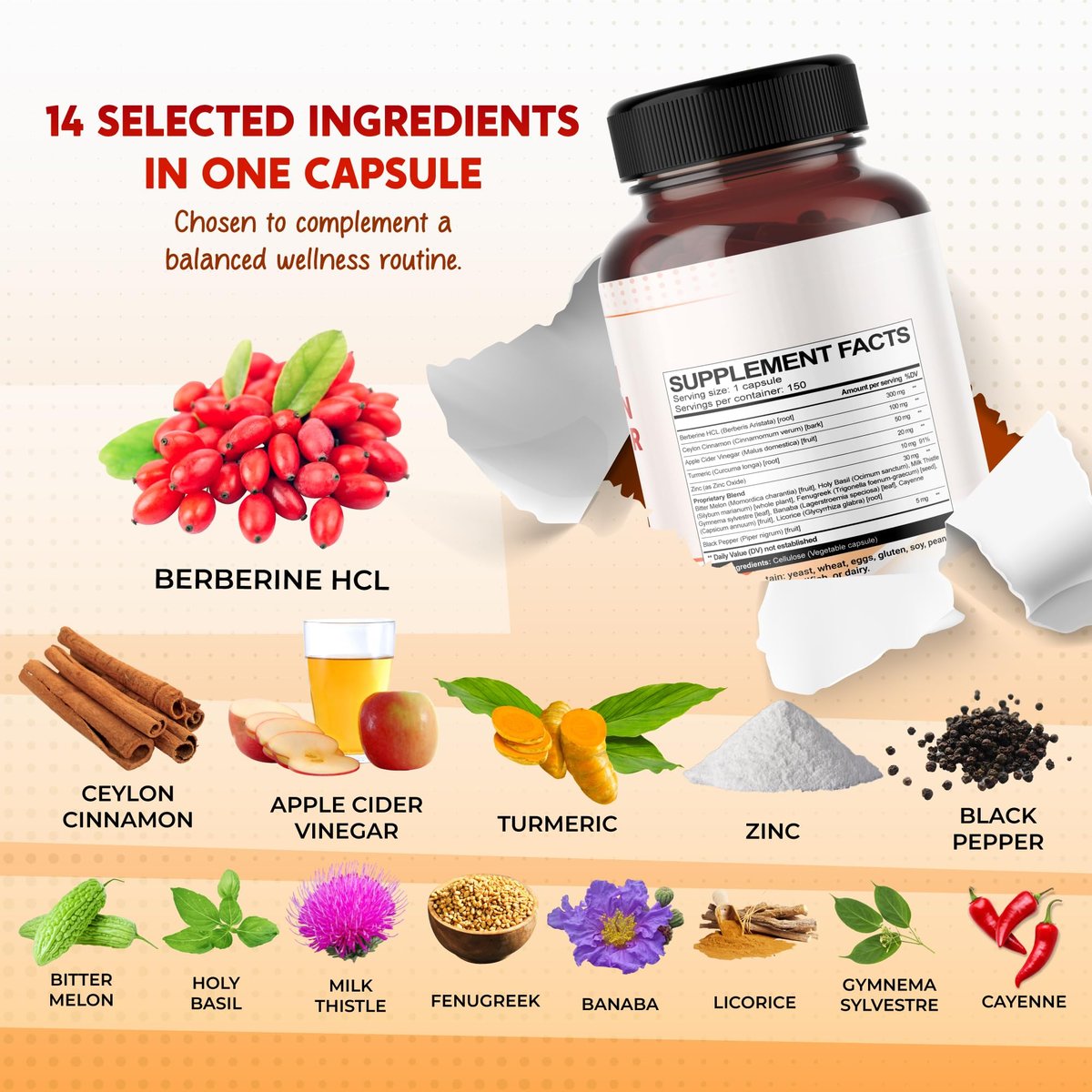 PEAKPURY Berberine Cinnamon Apfelessig Kurkuma – Ganzheitliches Wohlbefinden, 150 Kapseln