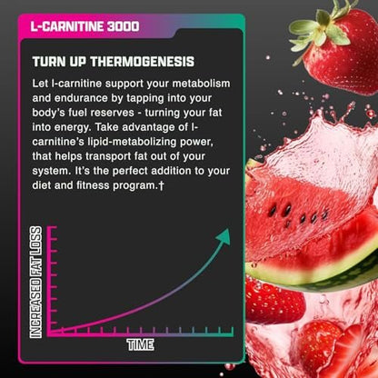 Nutrex Research L-Carnitin 3000 – Hochdosiertes L-Carnitin Liquid für Energie, Stoffwechsel & Muskelregeneration – Leckerer Erdbeer-Wassermelonen-Geschmack – Ohne Zucker, Kohlenhydrate & Stimulanzien – 31 Portionen
