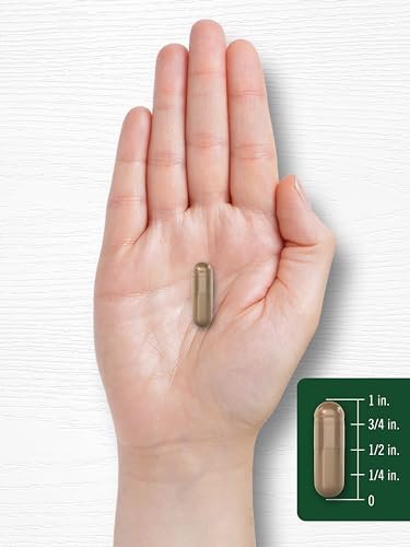 Carlyle Olivenblattextrakt 750 mg | 100 Kapseln | Mit Oleuropein | Nicht-GVO, Glutenfrei