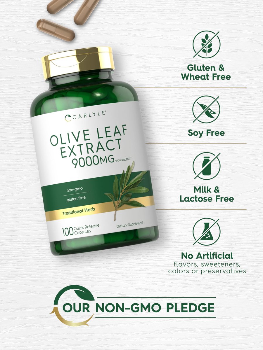Carlyle Olivenblattextrakt 750 mg | 100 Kapseln | Mit Oleuropein | Nicht-GVO, Glutenfrei