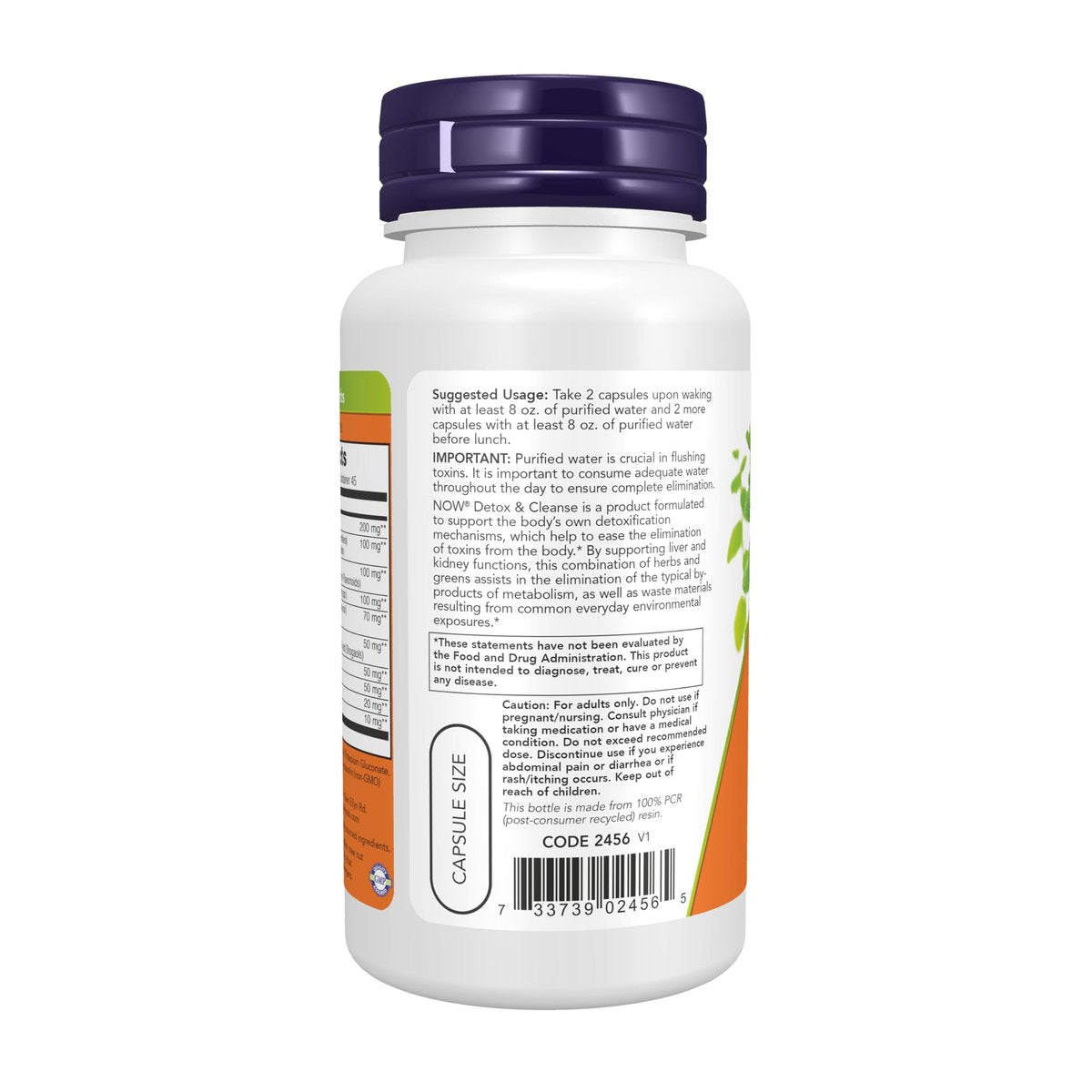 NOW Foods Detox & Cleanse – 90 vegane Kapseln zur Unterstützung von Leber und Nieren