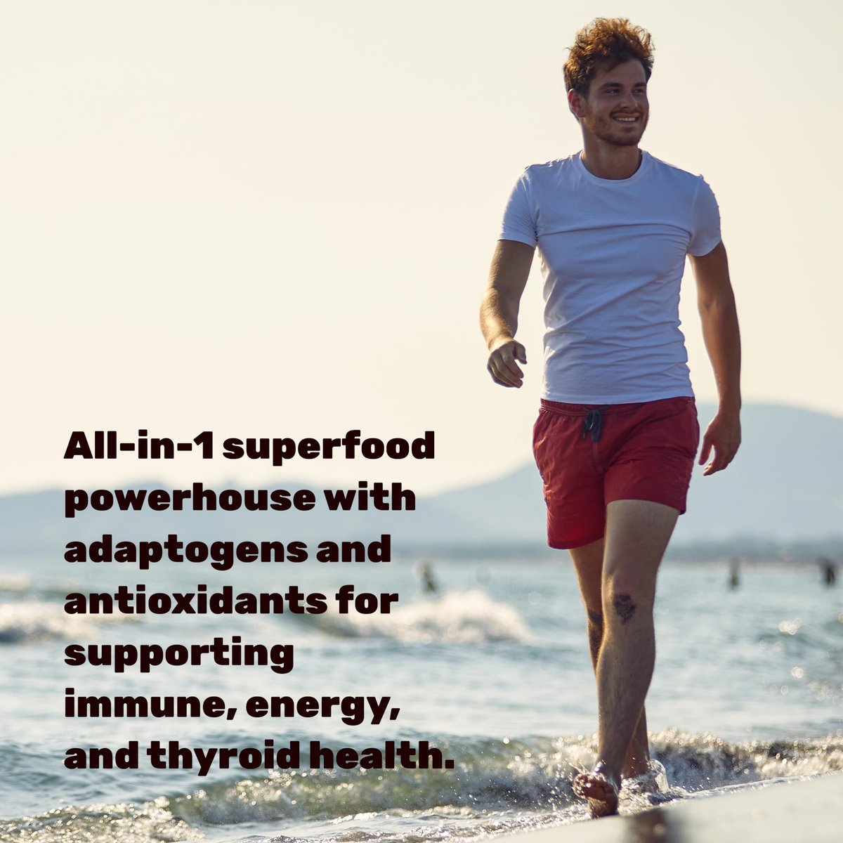 DEAL SUPPLEMENT Irish Sea Moss 240 vegane Kapseln – 14 Superfood-Komplex mit Schwarzkümmelöl, Ashwagandha & Ingwer