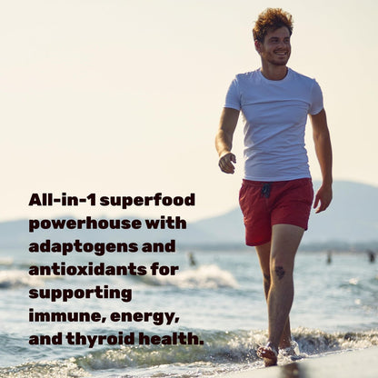 DEAL SUPPLEMENT Irish Sea Moss 240 vegane Kapseln – 14 Superfood-Komplex mit Schwarzkümmelöl, Ashwagandha & Ingwer