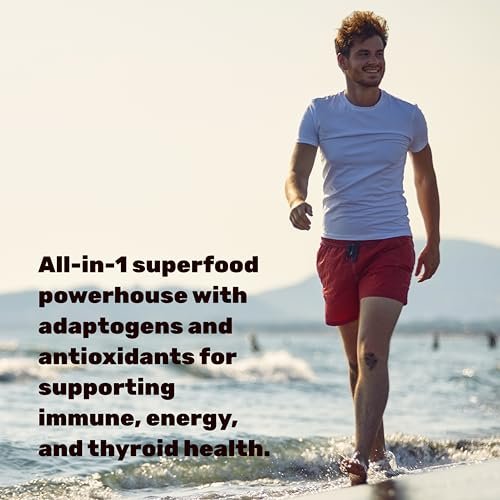 DEAL SUPPLEMENT Irish Sea Moss 240 vegane Kapseln – 14 Superfood-Komplex mit Schwarzkümmelöl, Ashwagandha & Ingwer