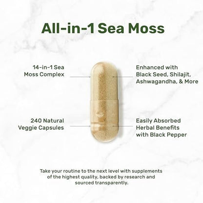 DEAL SUPPLEMENT Irish Sea Moss 240 vegane Kapseln – 14 Superfood-Komplex mit Schwarzkümmelöl, Ashwagandha & Ingwer