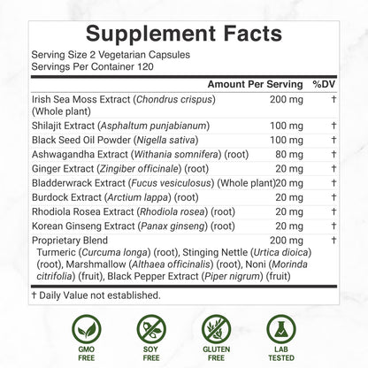 DEAL SUPPLEMENT Irish Sea Moss 240 vegane Kapseln – 14 Superfood-Komplex mit Schwarzkümmelöl, Ashwagandha & Ingwer