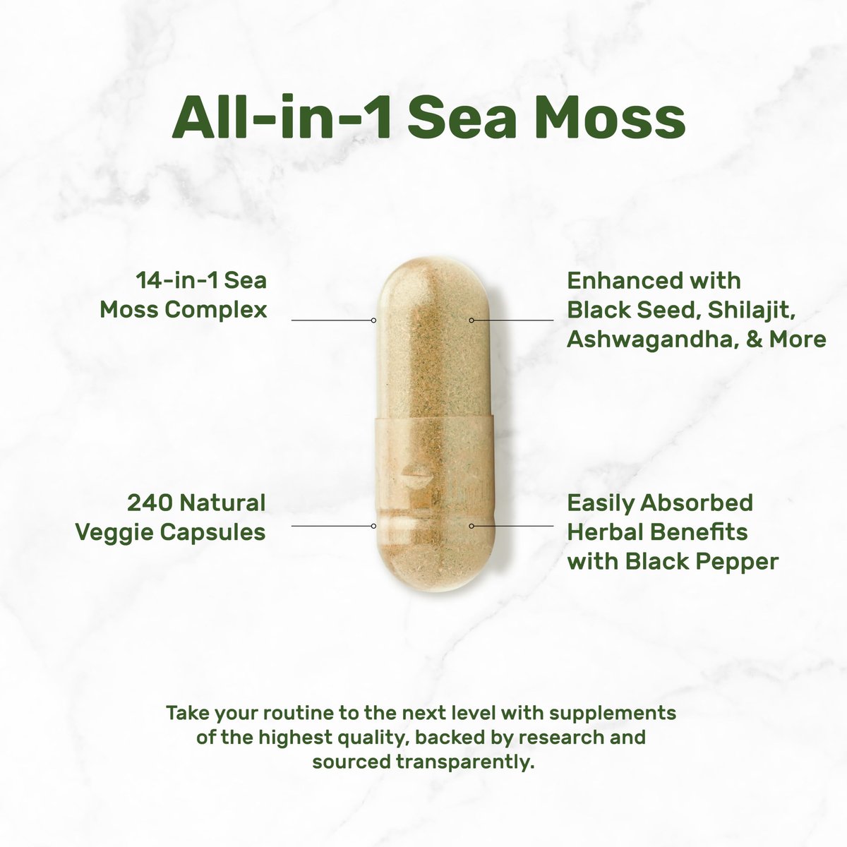 DEAL SUPPLEMENT Irish Sea Moss 240 vegane Kapseln – 14 Superfood-Komplex mit Schwarzkümmelöl, Ashwagandha & Ingwer