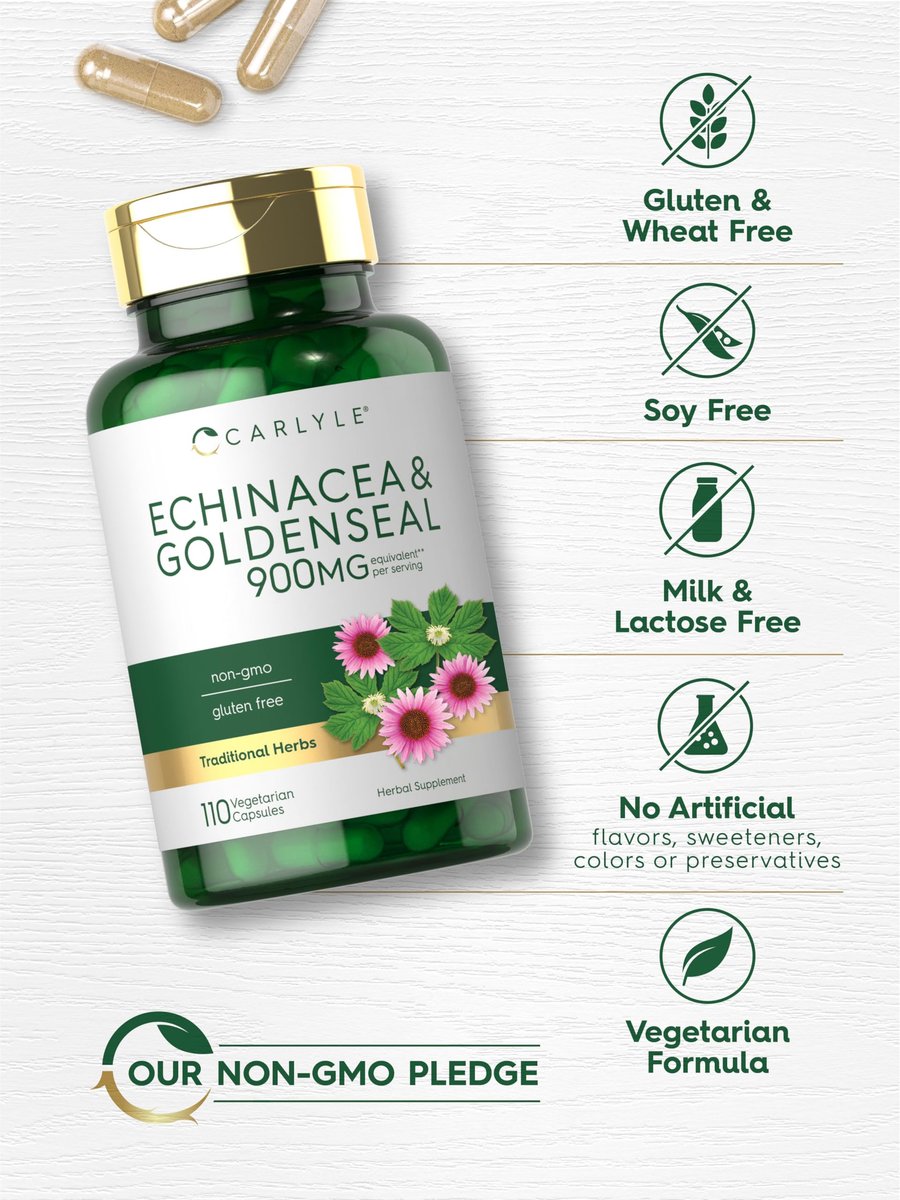 Carlyle Echinacea Goldenseal Kapseln | 110 Stück | Vegetarisch, Nicht-GVO, Glutenfrei