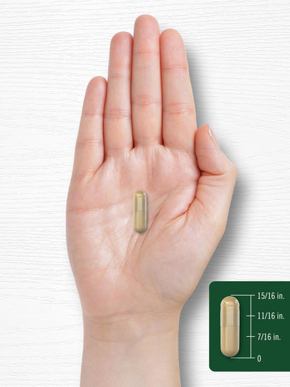 Carlyle Echinacea Goldenseal Kapseln | 110 Stück | Vegetarisch, Nicht-GVO, Glutenfrei