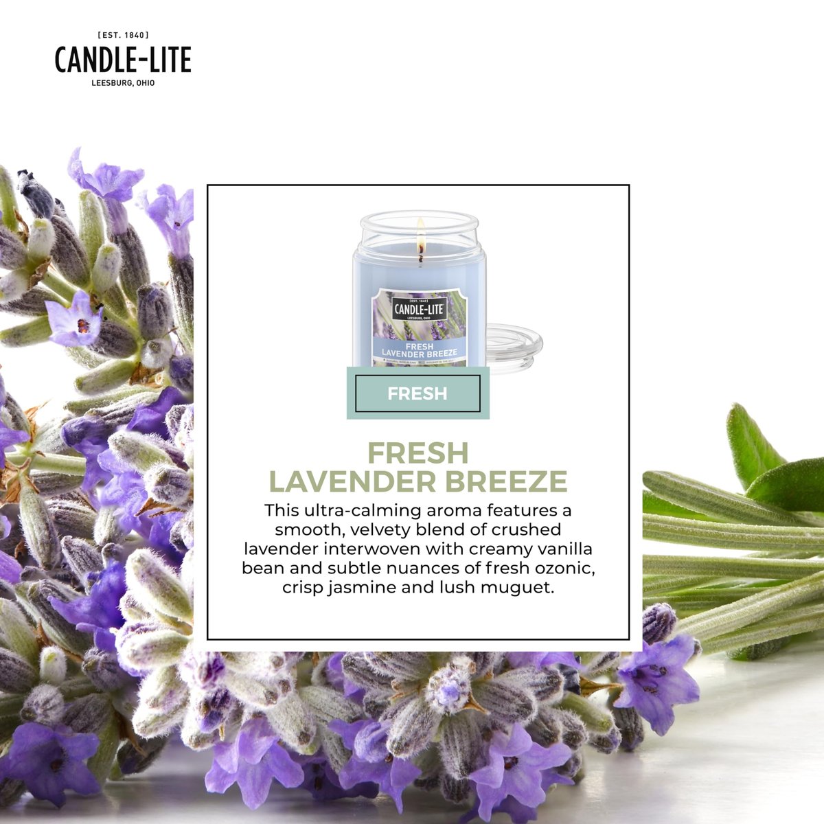 Candle-lite Duftkerze Fresh Lavender Breeze, 18 oz – 110 Stunden Brenndauer, Aromatherapie-Kerze aus den USA