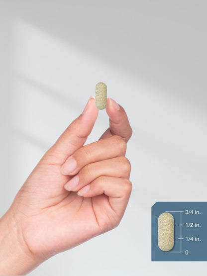 Horbäach Glucosamin HCL mit Hyaluronsäure 2000 mg - 120 magensaftresistente Tabletten, Non-GMO & Glutenfrei