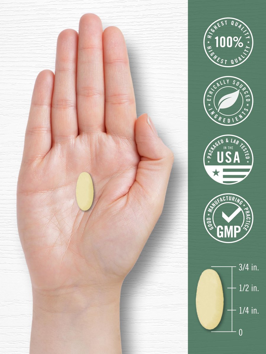 Carlyle KSM-66 Ashwagandha Wurzelextrakt 600 mg | 120 vegane Tabletten | Nahrungsergänzung mit L-Theanin | Nicht-GVO, glutenfrei