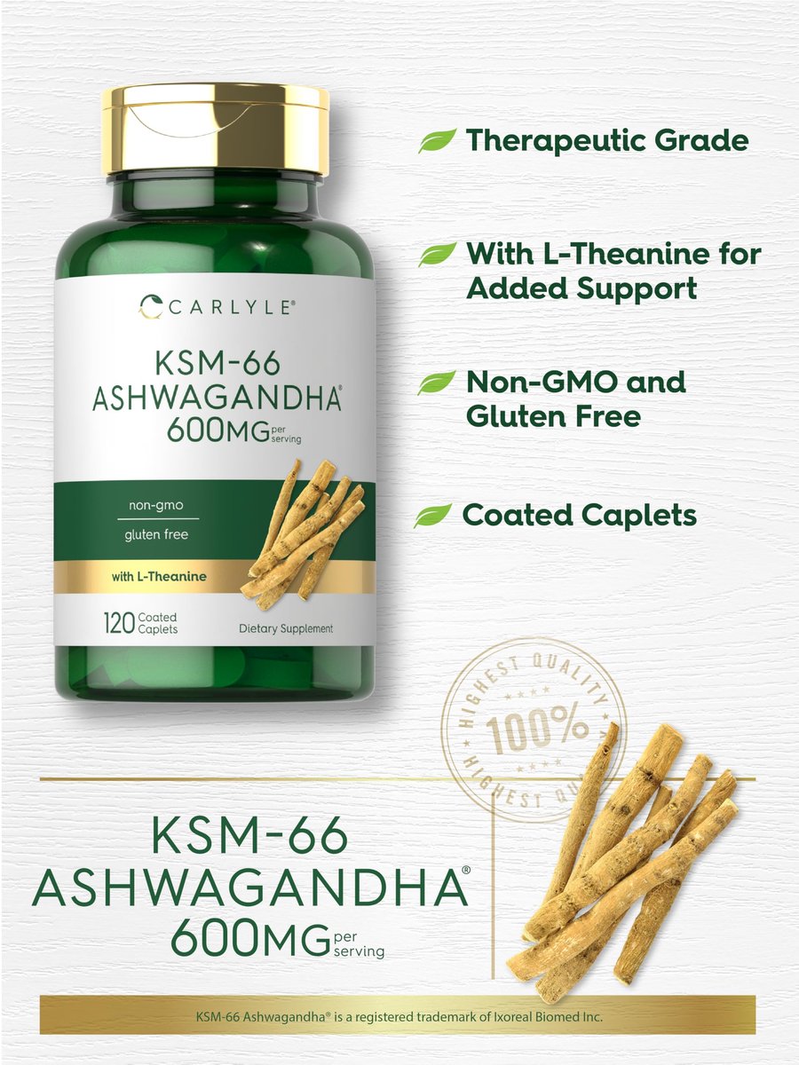 Carlyle KSM-66 Ashwagandha Wurzelextrakt 600 mg | 120 vegane Tabletten | Nahrungsergänzung mit L-Theanin | Nicht-GVO, glutenfrei