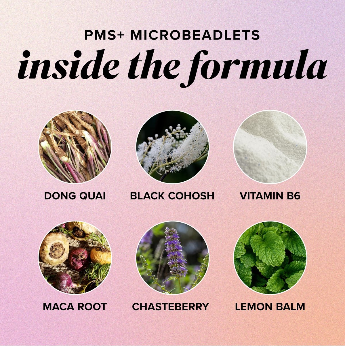 PMS-Unterstützung für Frauen mit Linderung von PMS-Symptomen | Hormonelle Akne, Hormonbalance & Periodenbeschwerden | Mönchspfeffer-Präparat mit Dong Quai, Cranberry & Vitamin B6 | Non-GMO 30 Kapseln