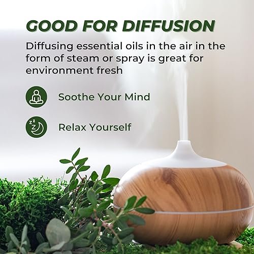 Ätherische Öle Set (Eukalyptus, Lavendel, Zitronengras, Pfefferminze, Teebaum, Orange) für Diffuser, topische Anwendung, Körper, natürlicher Raumduft, Geschenk für Frauen & Männer