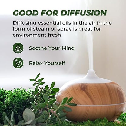 Ätherische Öle Set (Eukalyptus, Lavendel, Zitronengras, Pfefferminze, Teebaum, Orange) für Diffuser, topische Anwendung, Körper, natürlicher Raumduft, Geschenk für Frauen & Männer