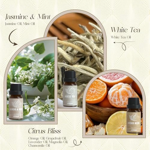 ARVIDSSON Hotel Diffuser Öle Geschenkset – Luxuriöse Duftöle für Aromadiffuser – Jasmin & Minze, Weißer Tee, Citrus Bliss, M-Way, Fancy Lobby – Geschenk für Damen und Herren