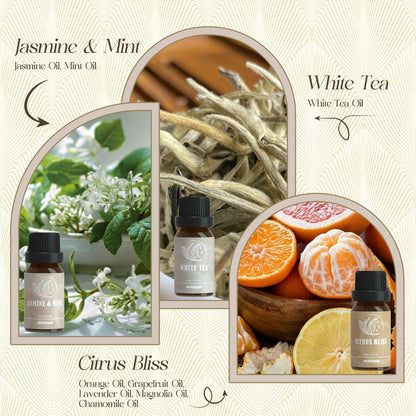 ARVIDSSON Hotel Diffuser Öle Geschenkset – Luxuriöse Duftöle für Aromadiffuser – Jasmin & Minze, Weißer Tee, Citrus Bliss, M-Way, Fancy Lobby – Geschenk für Damen und Herren