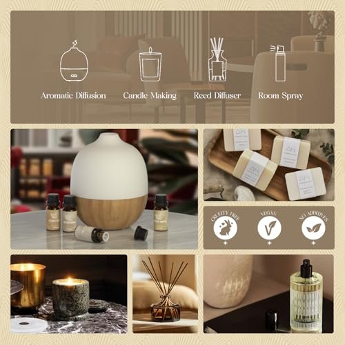 ARVIDSSON Hotel Diffuser Öle Geschenkset – Luxuriöse Duftöle für Aromadiffuser – Jasmin & Minze, Weißer Tee, Citrus Bliss, M-Way, Fancy Lobby – Geschenk für Damen und Herren