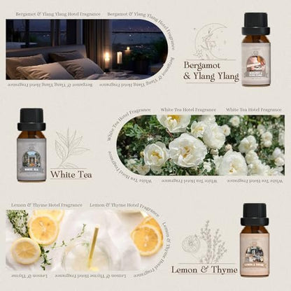 SALUBRITO Hotel Duftöl-Set, Luxuriöses ätherisches Öl-Set für Diffuser, Kerzen-, Seifenherstellung, Bergamotte & Ylang-Ylang, Weißer Tee, Zitrone & Thymian, Citrus Bliss, Zitronen-Tuberose, Jasmin & Minze
